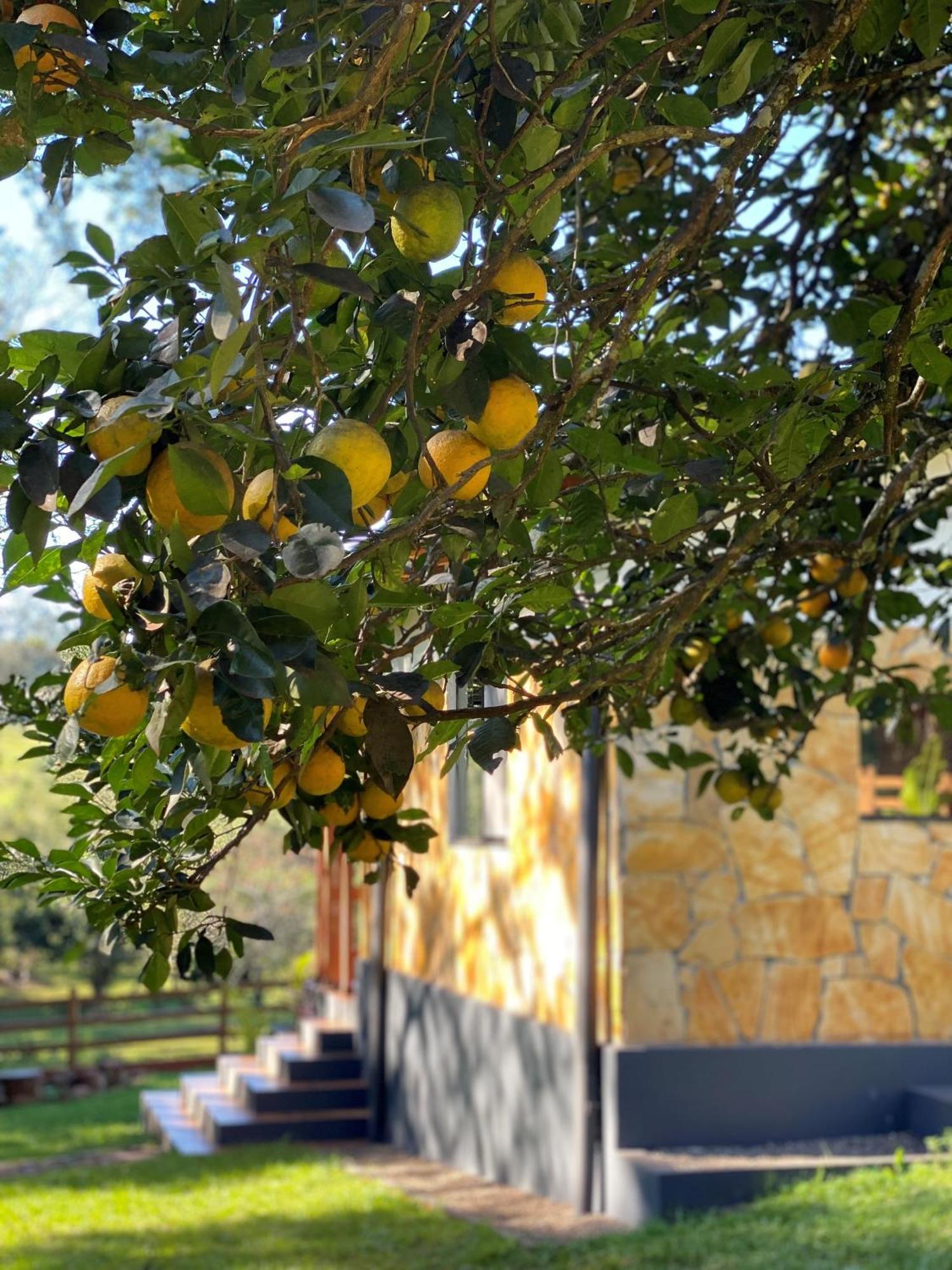 Casa De Campo Fichtelberger Hohenau Dış mekan fotoğraf
